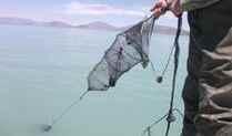 Balıkçı ağ toplarken öldü