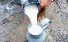Dikkat Sokakta Çiğ Süt Satışı Yasaklandı!!!