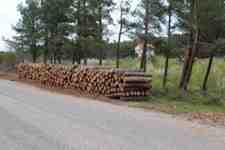 İLAN : Kışlık Yakacak Odun Satışı Başlamıştır!!