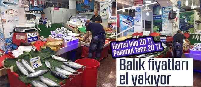 Balık Fiyatları Cebi Yakıyor!