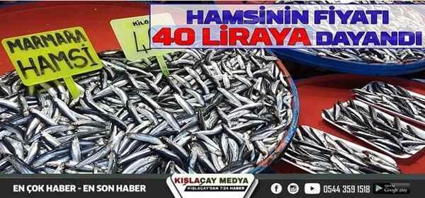 Marmara’da balık fiyatları cep