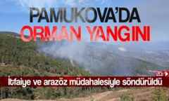 Pamukova’da çıkan yangın ormana sıçradı..