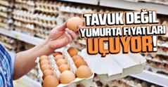Yumurta fiyatları son günlerde tırmanışa geçti…