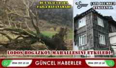 Boğazköy’de şiddetli rüzgar etkili oldu: Çınarlık Dut ağacı devrildi.