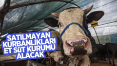 Et ve Süt Kurumu satılamayan kurbanlıkları alacak