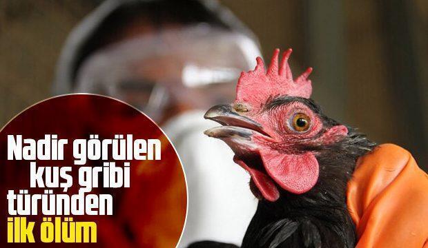 Kuş gribi kaynaklı ilk insan ölümü Çin’de yaşandı.