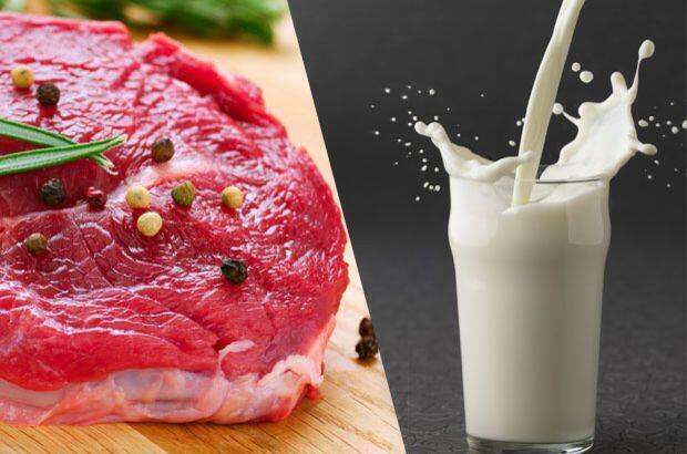 “Süt üreticisi desteklenmezse eti ve süt ürünlerini daha pahalı yeriz”